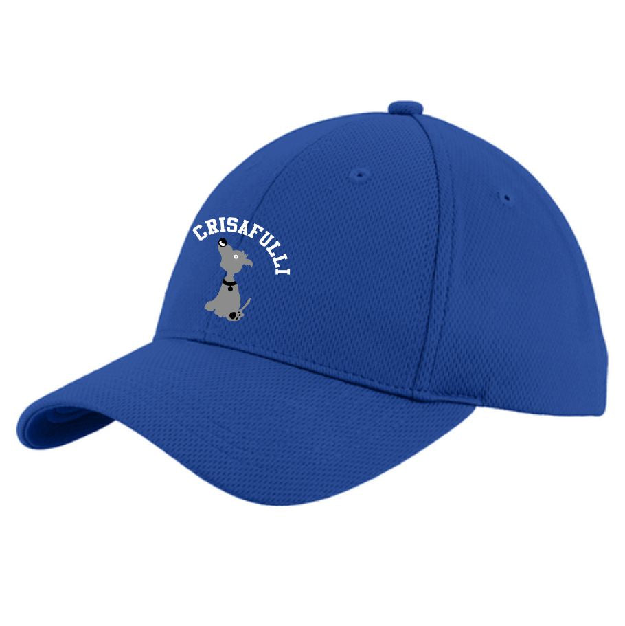 Crisafulli Youth Hat