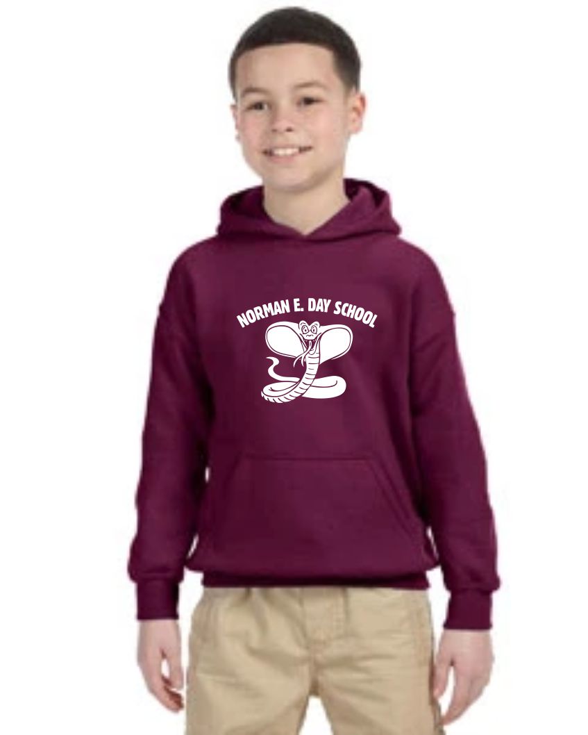 Norman E. Day School Youth Hoodie
